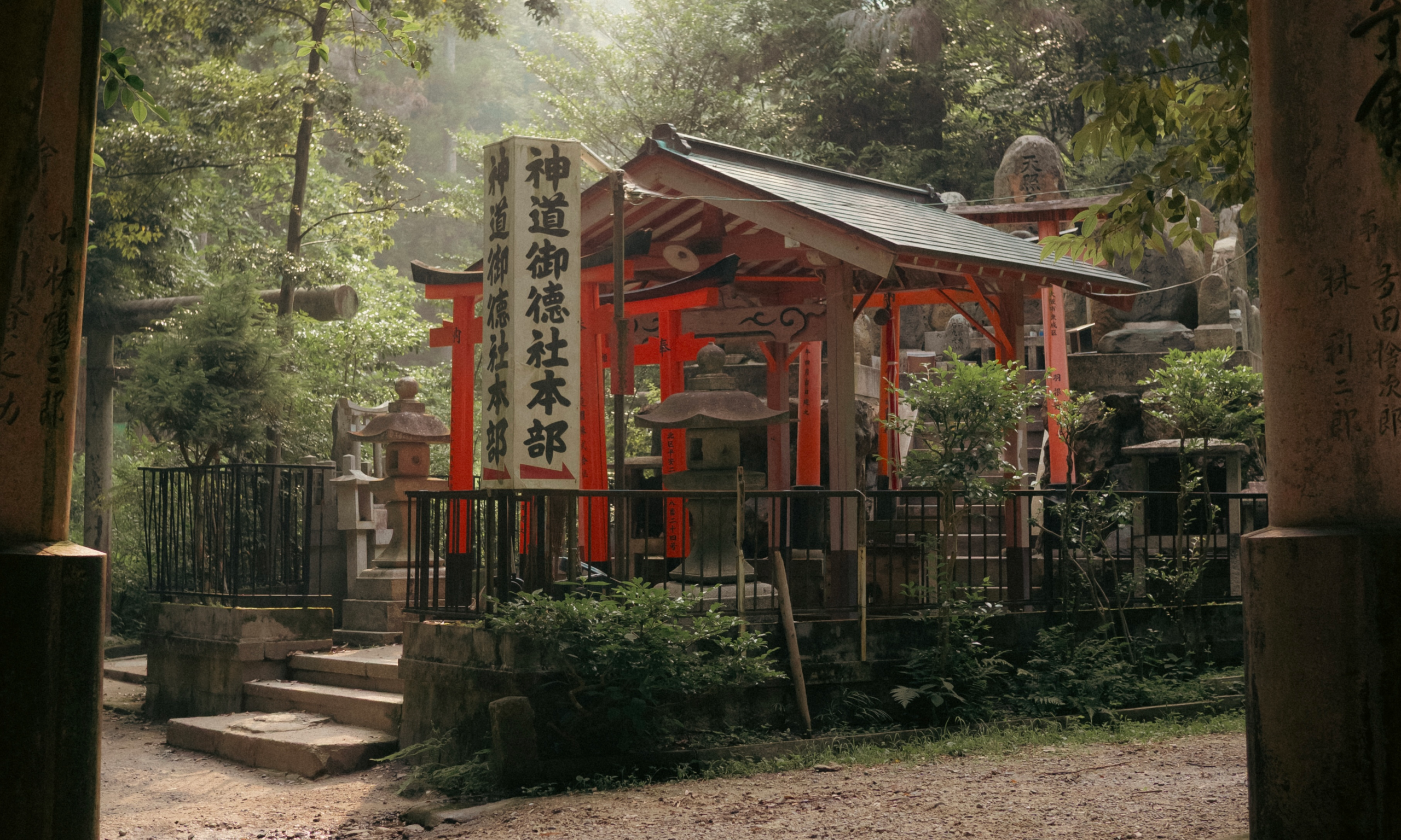 Why Japan? Your Reason for Travel is More Important Than You Think!