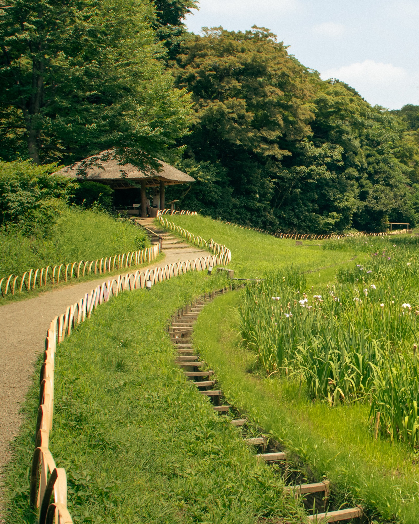 Big News – Japan Part 4!