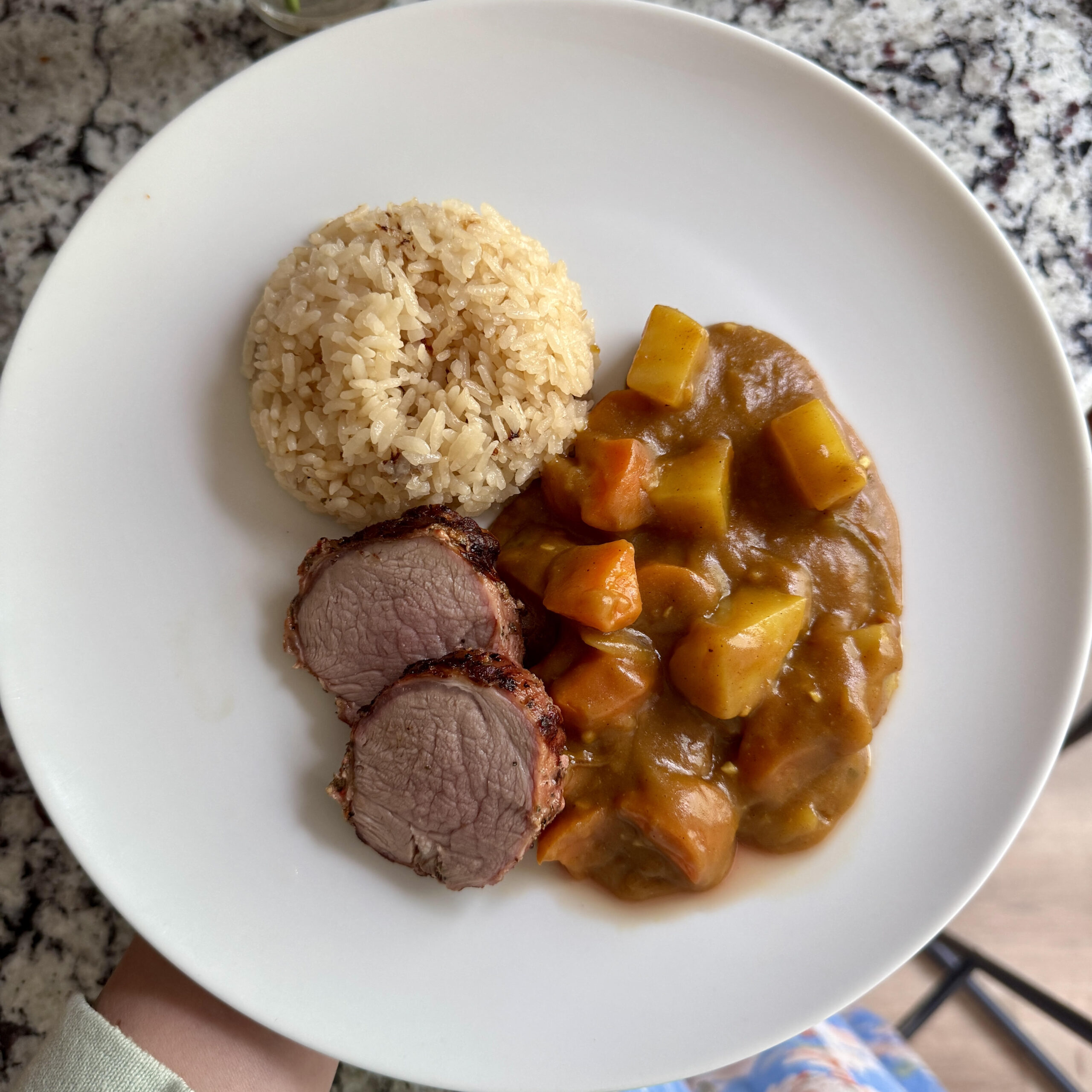 Japanese Curry on plate with rice and pork tenderloin